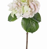 Hydrangea "Sensitive", flowerhead: Ø 18cm, 52 petals & 5 lvs, 60cm