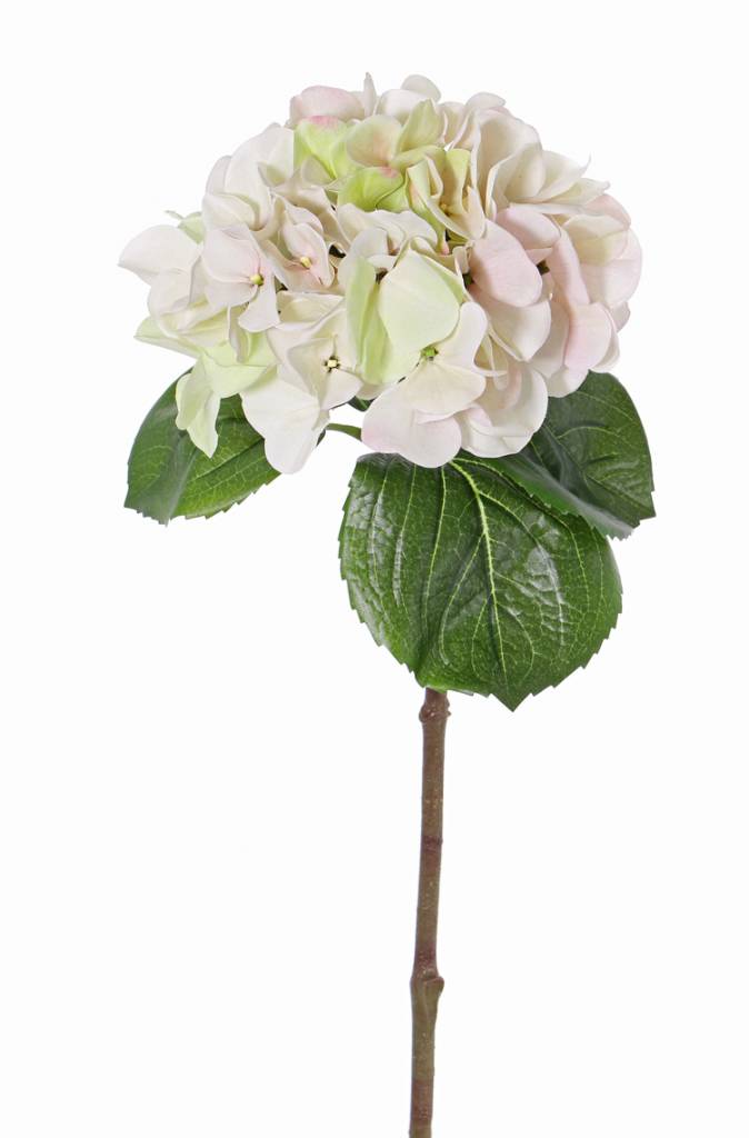 Hortensia "Sensitive", Ø 18cm, 52 bloemblaadjes & 5 bladeren, 60cm