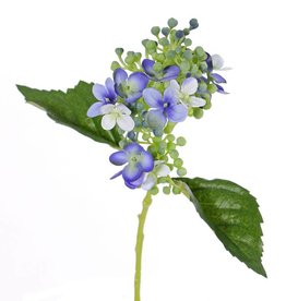 Hortensia  "fresh bloom", 15 bloemen,  2 bladeren,  & zachte knoppen,  33 cm