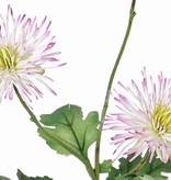 Chrysanth "spider", 3 flowers  &  4 leaves, 73 cm