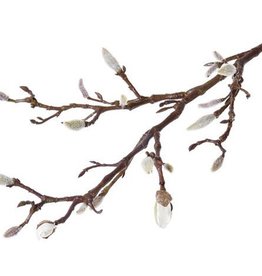 Magnolia branch with 19 buds 71cm coated