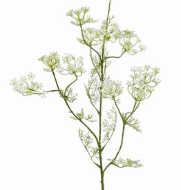 Dille (Anethum) spray, 11 clusters of flowers, 13 sets of leaves, (wired top) 78 cm