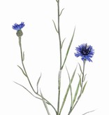 Aciano  (Centaurea cyanus), 2 flores & 1 capullo, flockeado, 70 cm