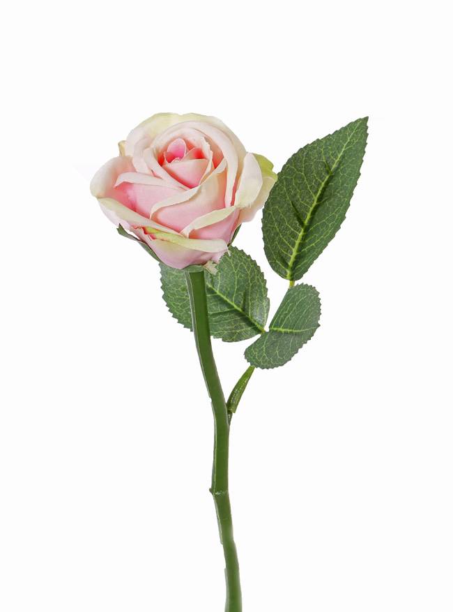 Rosa "Nina" Ø 5cm, 3 hojas, 27cm