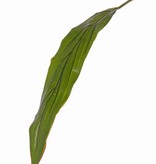 Cordylineblad "Sapa",  Ø 10 * 55cm, (PE), 88cm