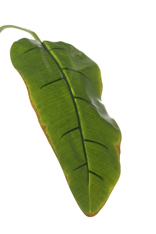 Banana leaf, medium, coated, 96cm