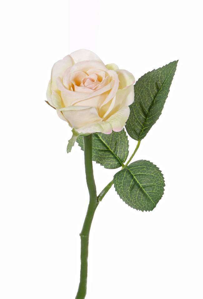 Rose "Nina" Ø5cm, x3lvs, 27cm
