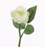 Rose "Nina" Ø5cm, x3lvs, 27cm