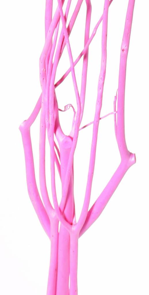 Mitsumata deco branches, set of 3 pieces, 105 cm, in polybag