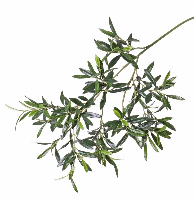 Olive branch, 234 leaves, 90cm