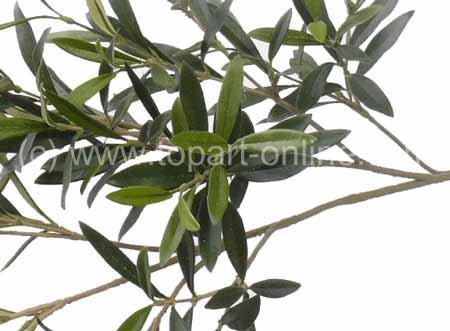 Olive branch, 234 leaves, 90cm