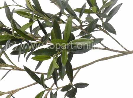 Rama de olivo, 234 hojas, 90cm