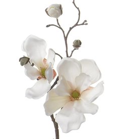 Magnolia steek, met 2 bloemen en 4 grote knoppen, 48cm