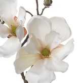 Magnolia with 2 flowers, 4 buds,  pick, 48cm