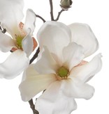 Magnolie mit 2 Blumen, 4 Knospen, 48cm