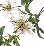 Passionflower Spray