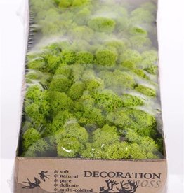Icelandic moss (reindeer moos), box of 500 gr