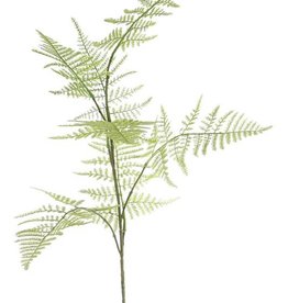 rama de Asparagus 'Bella',  medium, 7 hojas, 86cm