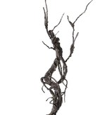 Deco twig, "curly", coated, 55cm