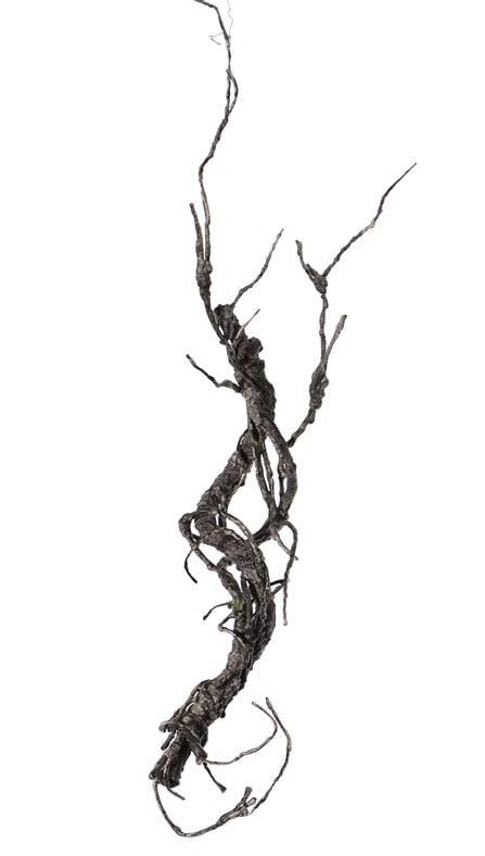 Deco twig, "curly", coated, 55cm