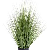 Grass bush in pot, 76cm