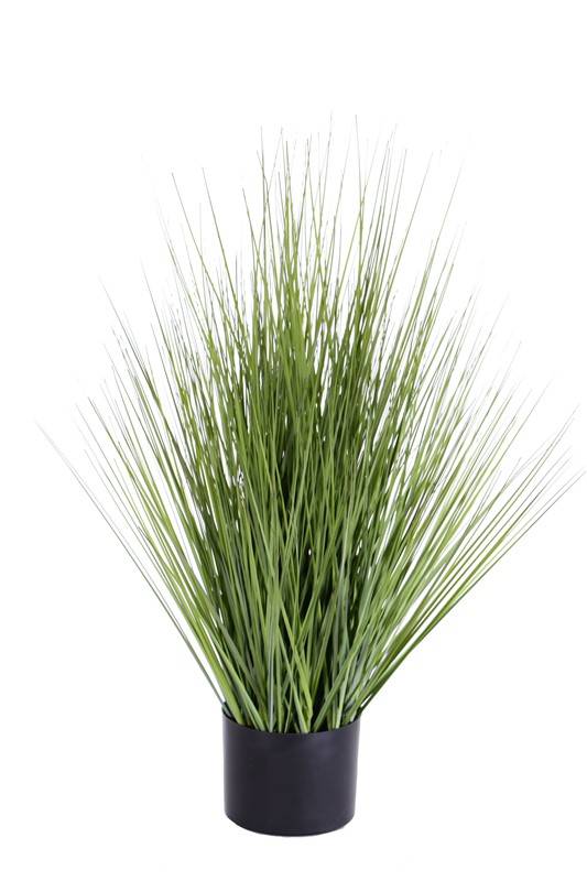 Grasbush in pot, 76cm