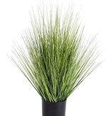 Grass bush in pot, 61 cm