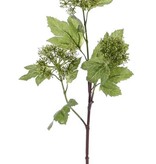 Snowball (viburnum) budsspray, 3 clusters, 10 leaves., 60cm