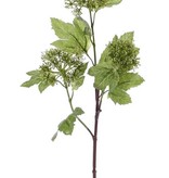 Viburnum / Sneeuwbal budsspray, 3 clusters, 10 bladeren, 60cm
