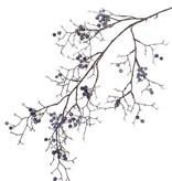 Berry branch, wild, 21 clusters bessen, 100cm