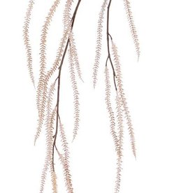 Amaranthus  colgante "Ruby", 15 espigas, 120cm