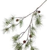 Dennentak (Pinus), 4 real cones, 17 pine clusters, 110cm