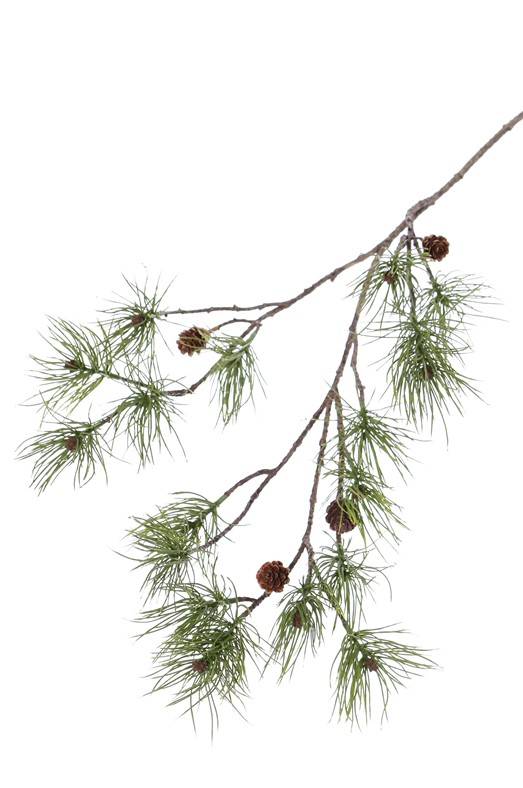 Dennentak (Pinus), 4 real cones, 17 pine clusters, 110cm
