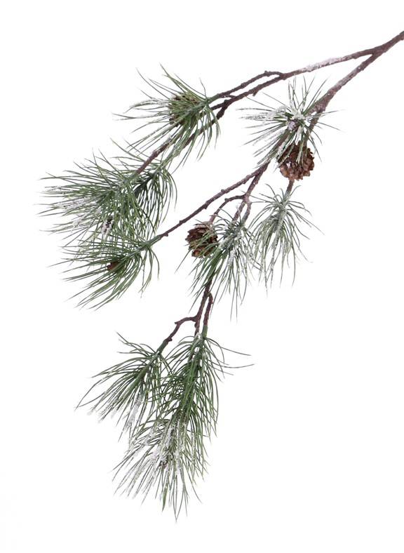 Pine spray (Pinus) "Frosted", 4 real cones & 10 pine clusters, 81cm