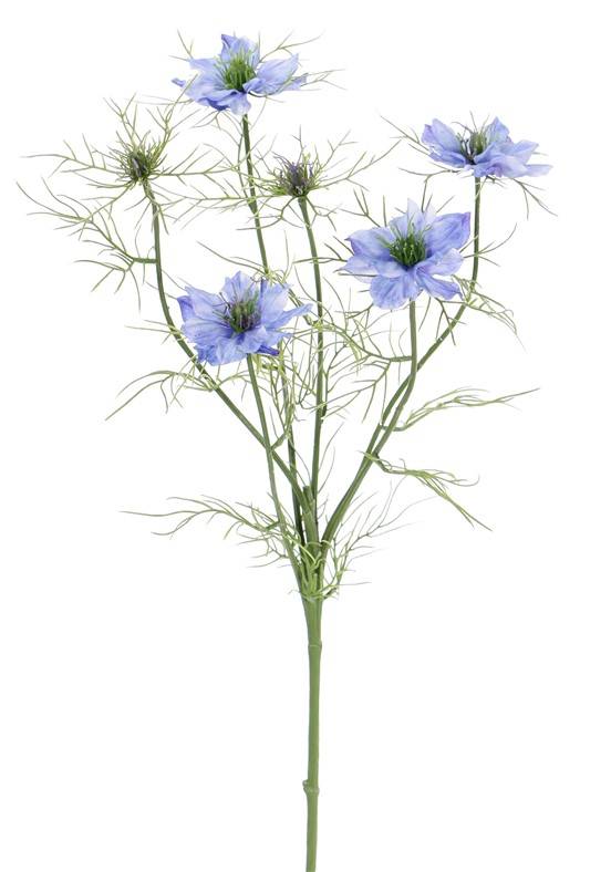 Nigella (persian Jewel) con 6 ramitas, 4 flores, 2 capullos, 15 grupos de hojas, 66cm