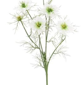 Nigella (Jungfer im Grünen) 6 Verzweigungen, 4 Blumen, 2 Knospen, 15 Blattsets, 66cm
