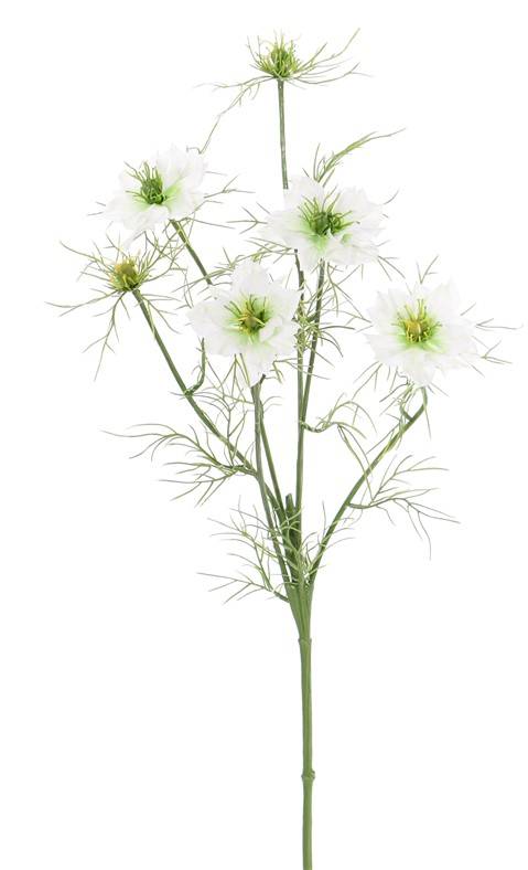 Nigella (Jungfer im Grünen) 6 Verzweigungen, 4 Blumen, 2 Knospen, 15 Blattsets, 66cm