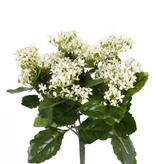 Kalanchoe planta, 25 grupos de flor & 70 hojas de polyester lvs, 34 cm, UV resistente