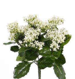 Kalanchoëbush, 25 clusters plastic bloemen & 70 polyester blad, 34 cm, UV bestendig