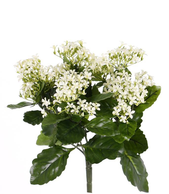 Kalanchoe planta, 25 grupos de flor & 70 hojas de polyester lvs, 34 cm, UV resistente