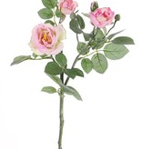 Rose spray "Elsa", 3 flowers (Ø 7/5/3,5cm), 2 buds, 32 lvs., 48cm