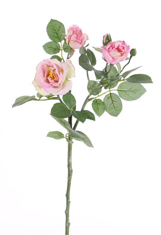 Rose spray "Elsa", 3 flowers (Ø 7/5/3,5cm), 2 buds, 32 lvs., 48cm