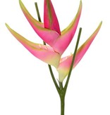 Heliconia met 1 grote bloem, Ø 28cm, 5 bloembladeren, gecoate steel, 81cm