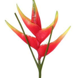 Heliconia met 1 grote bloem, Ø 28cm, 5 bloembladeren, gecoate steel, 81cm