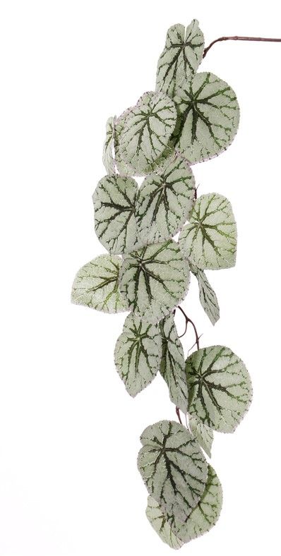 Begonia Rex colgante, 18 hojas, (capa especial), 111cm - Top Art  International - flores y plantas artificiales - solo para clientes  comerciales
