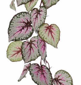 Begonia Rex (Königsbegonie) hängend, mit 18 Blättern, (spezielle Beschichtung), 111cm