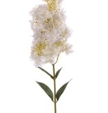 Hortensie paniculata mit 4 Blaettern, 81cm, Blume 20cm