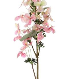 Hortensie paniculata "Top Art 60!" Ø 14 cm und 36 Blütenblätter & 3 Blätter & 16 Knospe, 75 cm