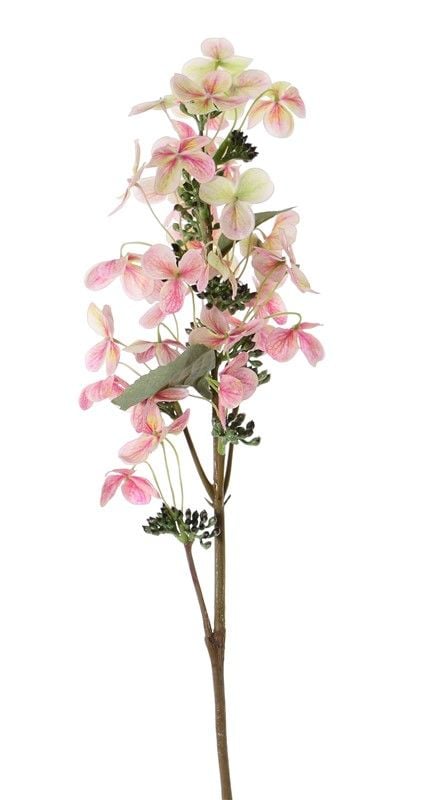 Hydrangea paniculata (Pluimhortensia) "Top Art 60!" Ø 14cm & 36 petals & 3 blad & 16 plstic knop, 75cm