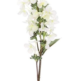 Hortensie paniculata "Top Art 60!" Ø 14 cm und 36 Blütenblätter & 3 Blätter & 16 Knospe, 75 cm